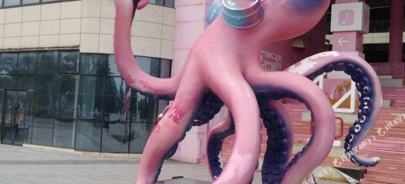 兴城弄潮儿海景民宿(御龙湾店)图片