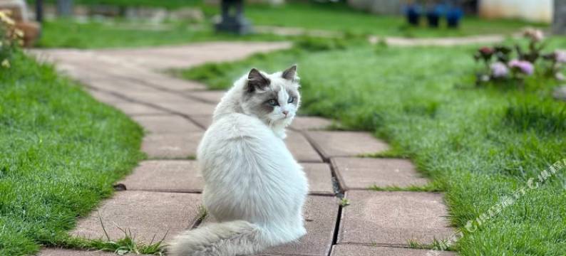 片云归精品民宿(李长公路分店)图片