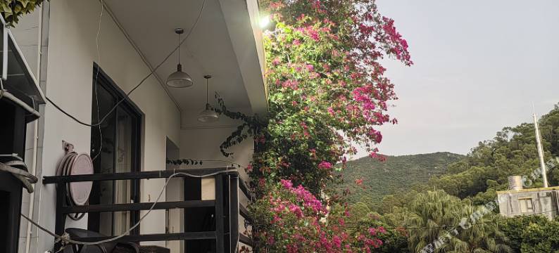 花海星墅(官湖沙滩海边烧烤场店)图片