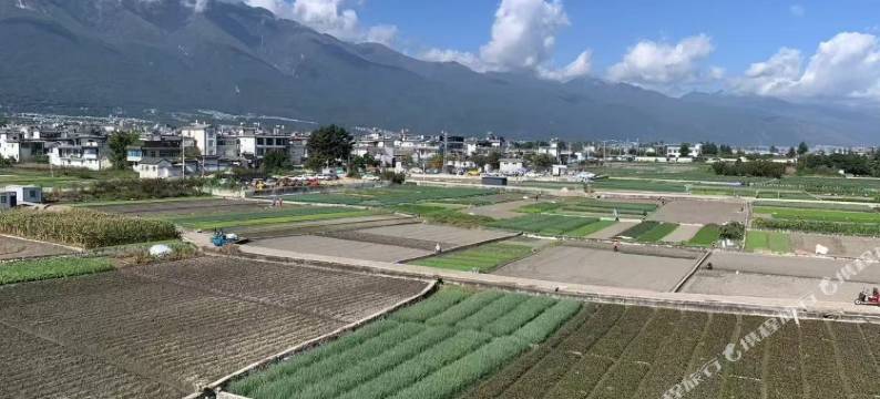 大理觅湾·田园风观景民宿(大理古城杨丽萍大剧院店)图片