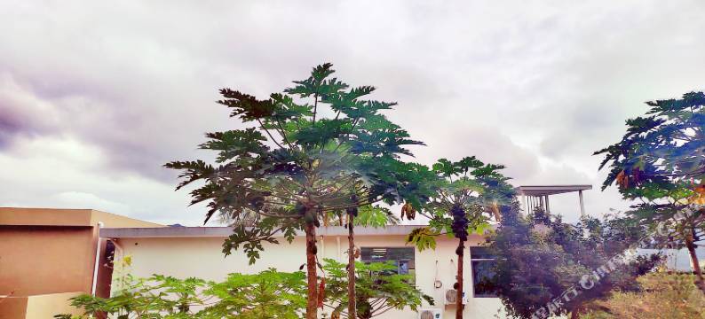 三亚亚龙湾静莱套房度假院子图片