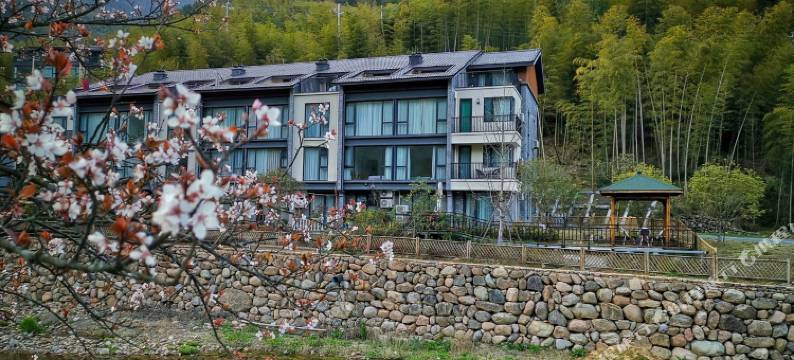 安吉至吾竹民宿图片