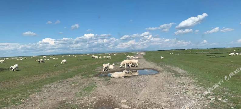 达里湖欧K·雅民宿图片