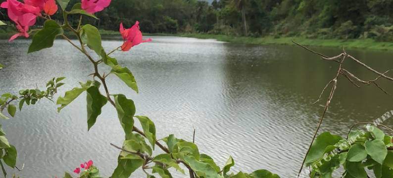 万宁友一佳客栈图片