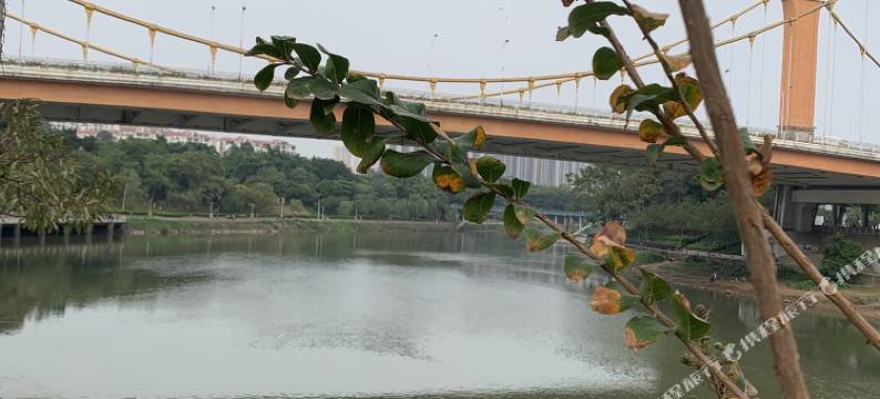 钦州瑞园宾馆(人民医院年年丰广场店)图片