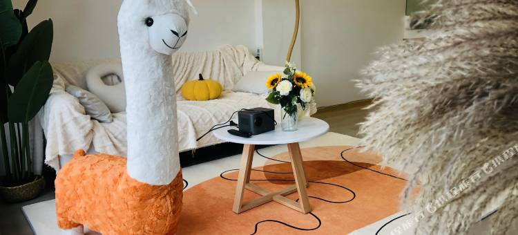 卡卡投影LOFT公寓图片