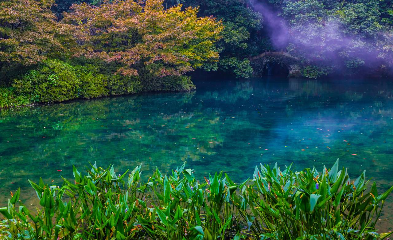 杭州千禧度假酒店图片