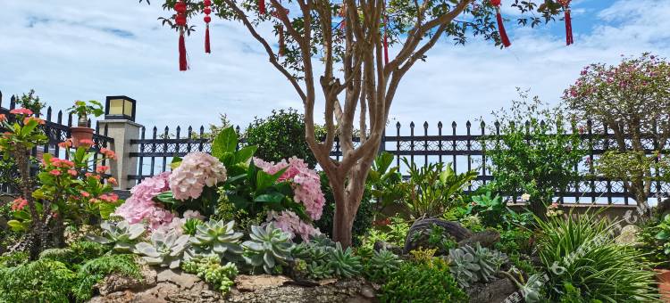 龙海海尚民宿图片