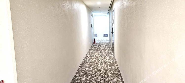 Raviens 埃尔本民宿(Raviens Elbon The Stay)图片