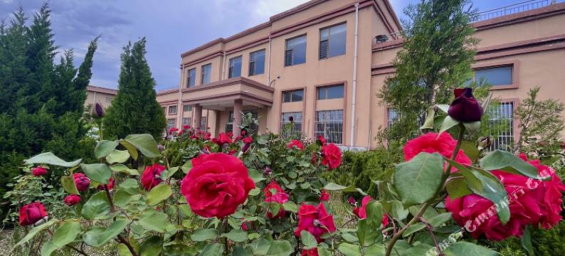 山海庭院民宿(威海站店)图片