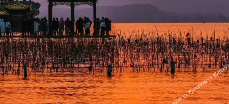 慧选酒店(重庆汽博中心金童路轻轨站店)图片