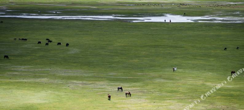 香格里拉锦瑟·在野院·畔海牧场EVEREST POINT图片