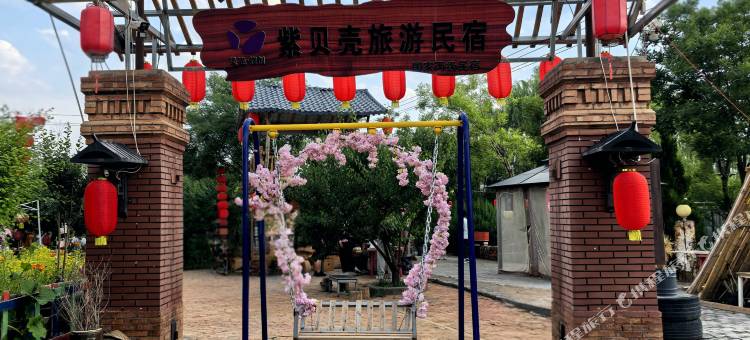 紫贝壳旅游民宿图片