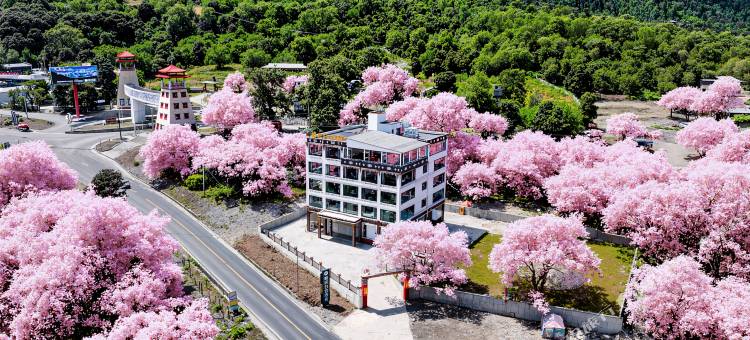 帕居白宫酒店(波密桃花沟景区店)图片