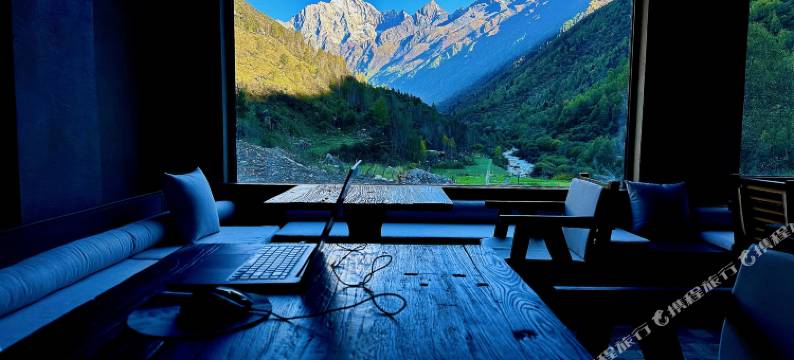 四姑娘山绿绒蒿MECONOPSIS金山庄园图片