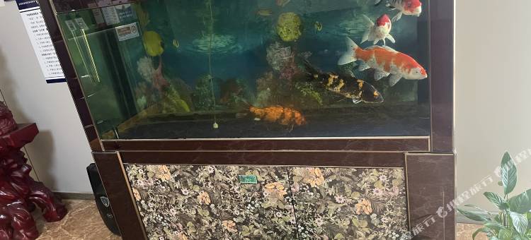 怡都快捷宾馆(商丘师范学院店)图片