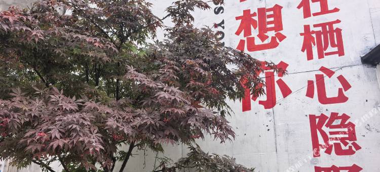 永康盘龙谷栖心隐墅图片