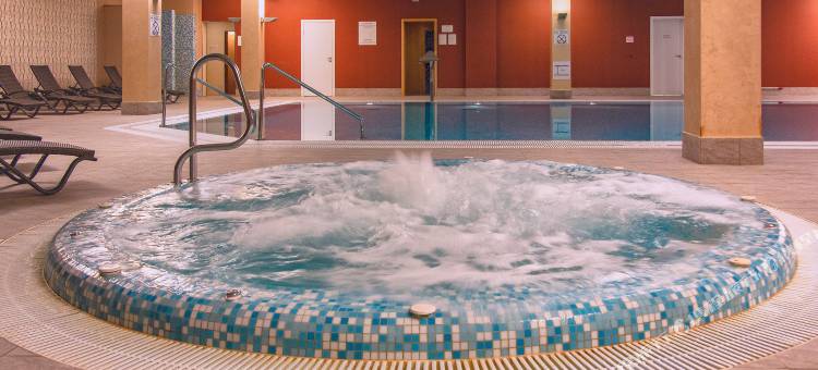 莫斯科谢列梅捷沃机场喜来登酒店(Sheraton Skypoint Luxe)图片