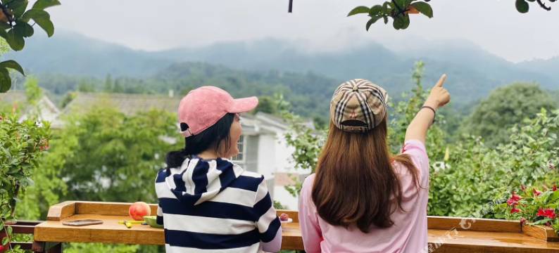 青城山镇安隅宅忆民宿(都江堰中华大熊猫苑店)图片