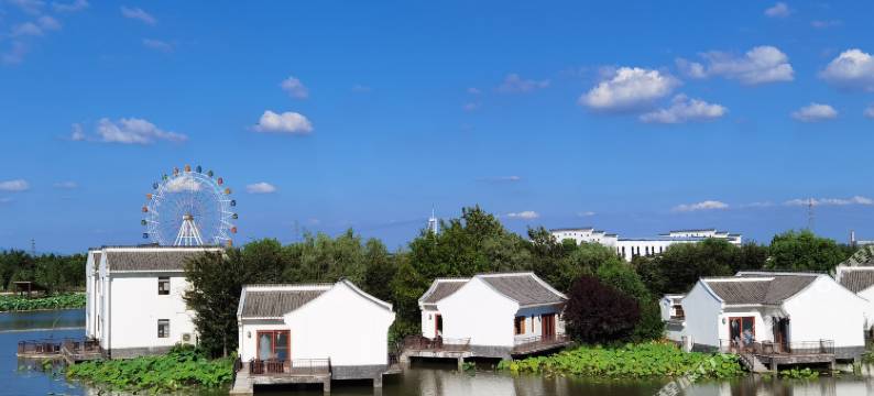 孝感金卉庄园渔家小院别墅图片