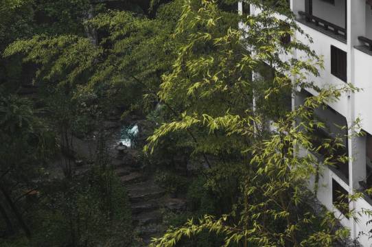 SECLUSION|雪晴集人文半山民宿(凤凰古城店)图片