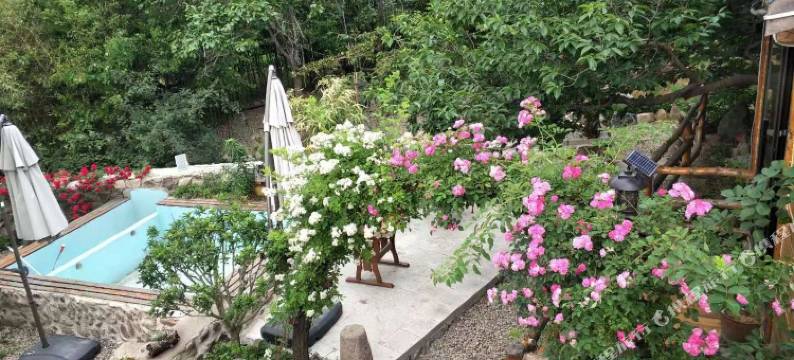 青岛临山墅民宿图片