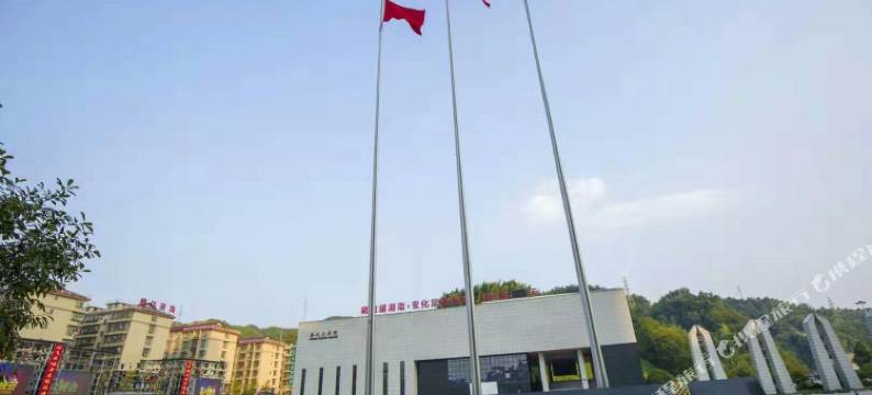 黑茶印象酒店(陶澍广场店)图片