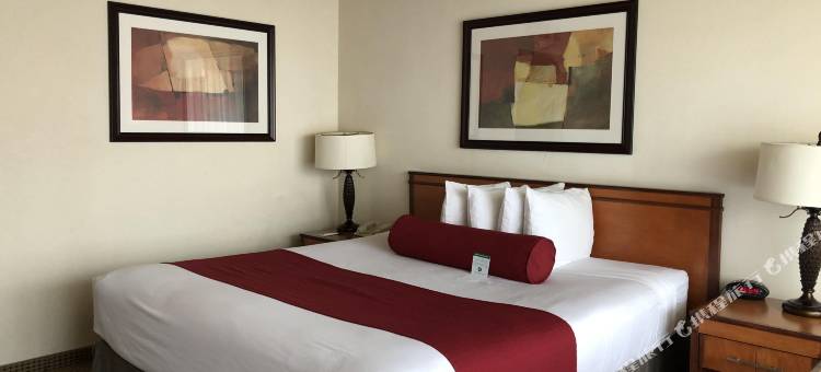 米卡多酒店(Mikado Hotel)图片