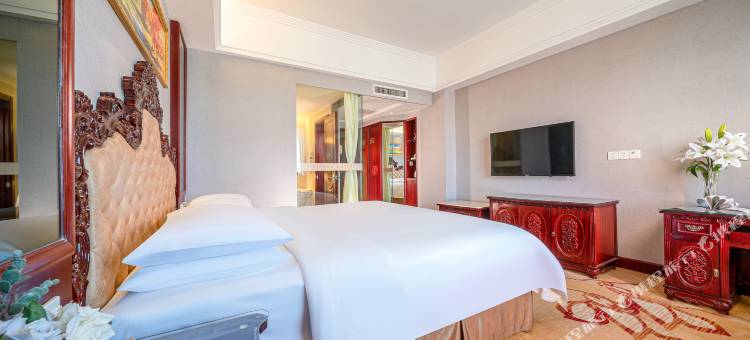 维也纳酒店(靖西中山公园店)图片