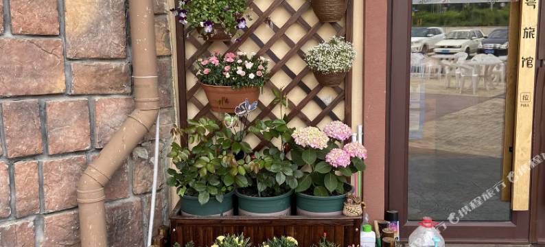 大连7号旅馆图片