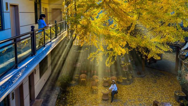 腾冲银杏村陈家小筑·观景度假美宿图片