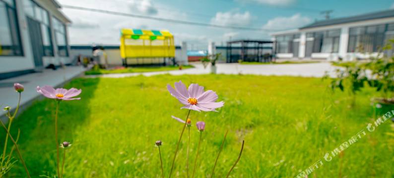 塞罕坝陌上花开民宿图片