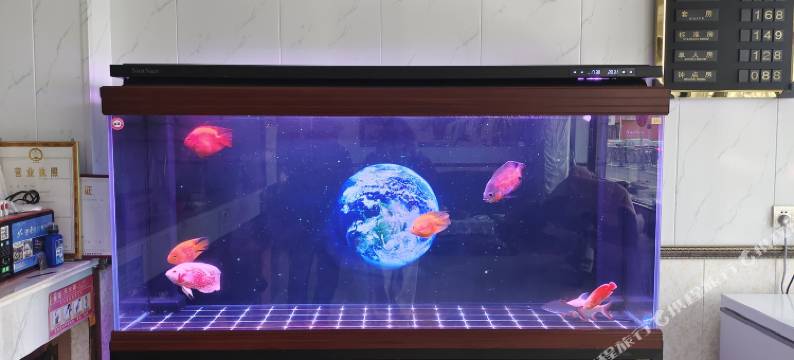 滨海海悦宾馆图片