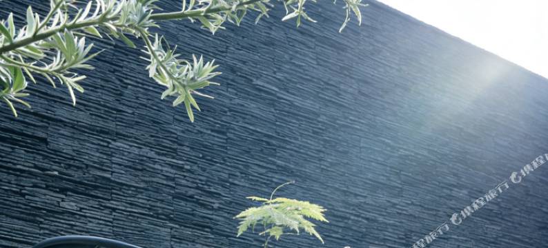 日食•国风客栈(大理古城洱海门店)图片