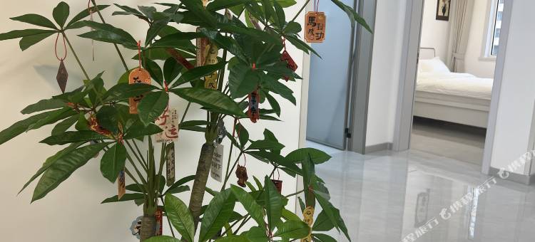 溪禾民宿(河头老街东南门店)图片