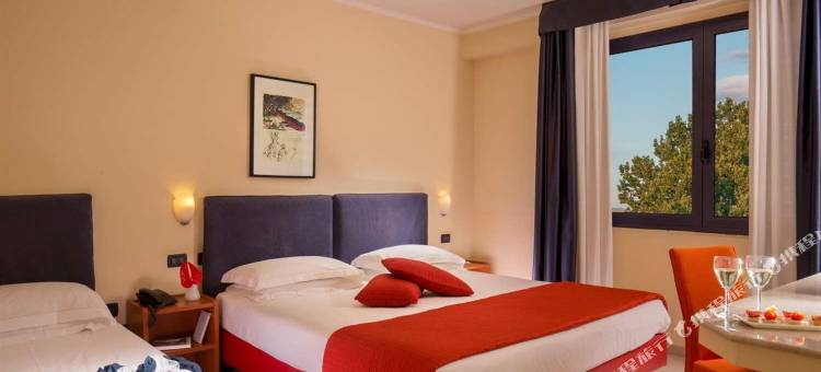 布鲁罗马贝斯特韦斯特酒店(Best Western Blu Hotel Roma)图片