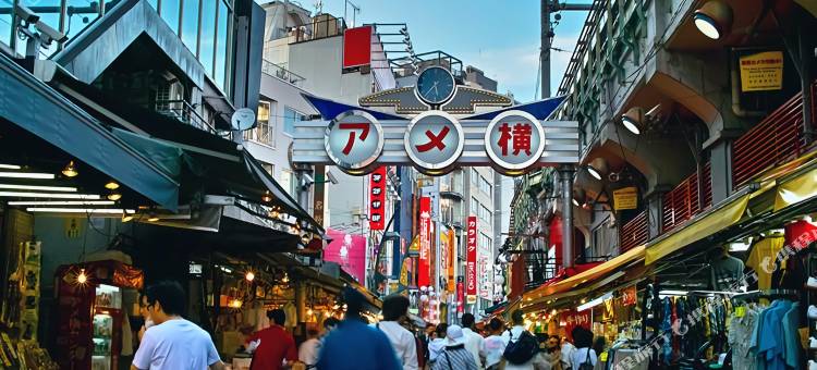 MYSTAYS 上野东酒店(HOTEL MYSTAYS Ueno East)图片