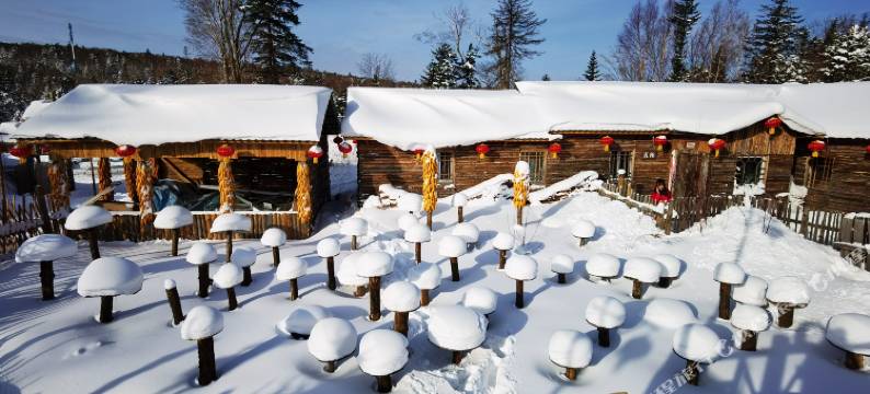 雪乡雅梦阁家庭宾馆图片