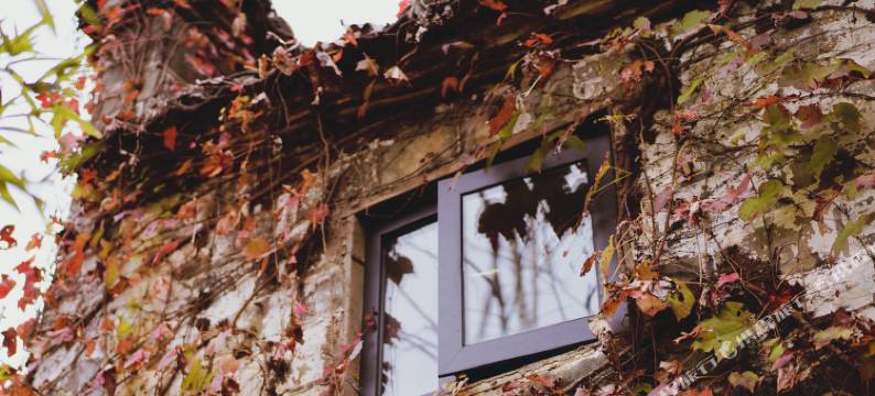 婺源七叶衍祥客栈图片