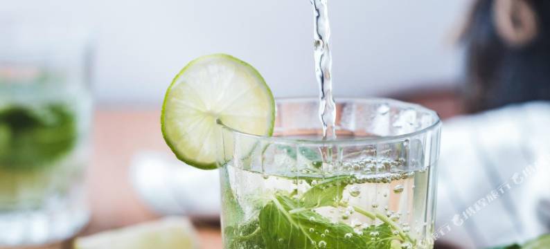 杰拉尔德公寓式酒店(The Gerald Apartment Hotel)图片