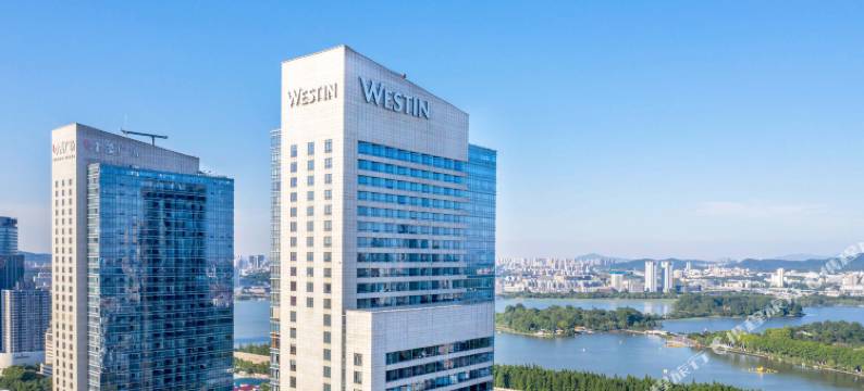 南京金茂威斯汀大酒店图片