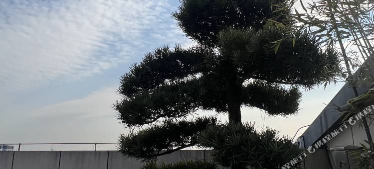 尚客优精选酒店(湖州德清新市古镇银河城店)图片