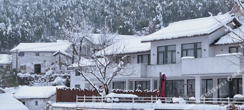 安吉云邸·竹海清居图片