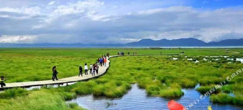 若尔盖梅花鹿生态园客栈图片