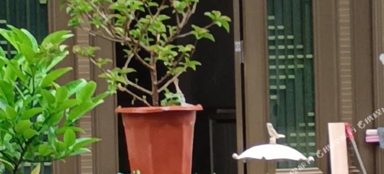 福鼎金沙滩公寓图片