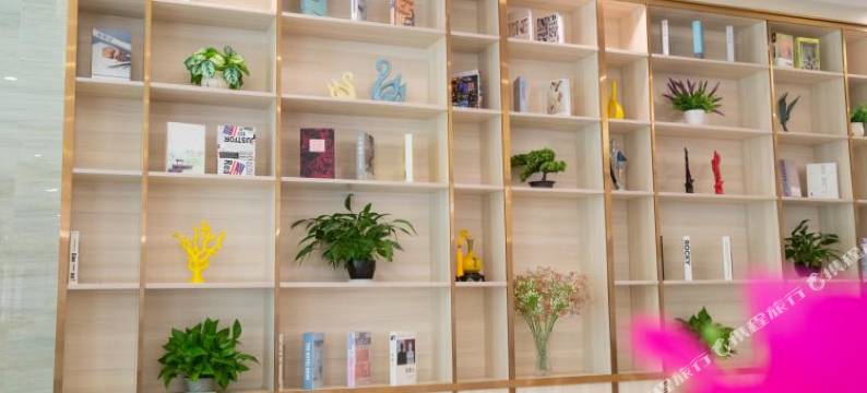 兴国中怡国际酒店(国兴汽车城店)图片