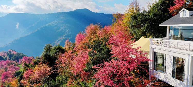 樱花谷闻樱楼图片