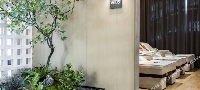 A+东馆温泉酒店图片