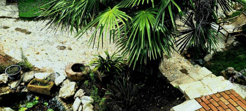 沙溪令嘉小园图片