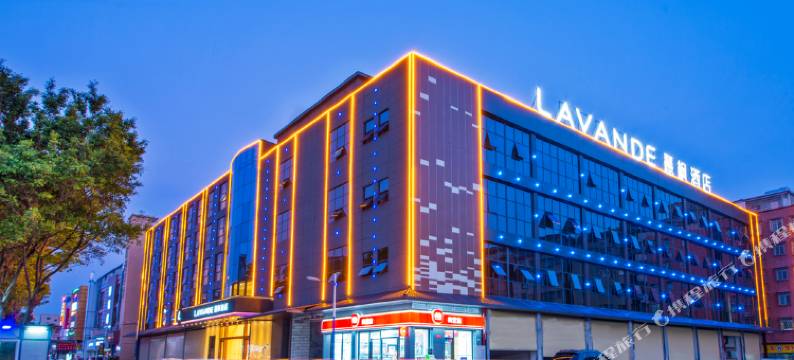 麗枫酒店(广州空港大道龙归金铂广场店)图片